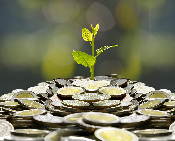 Managing & Selling for Profit